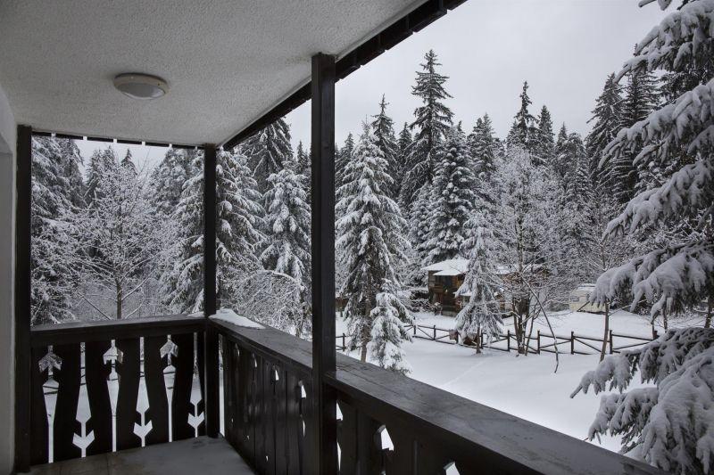 Victoria Borovets 3*