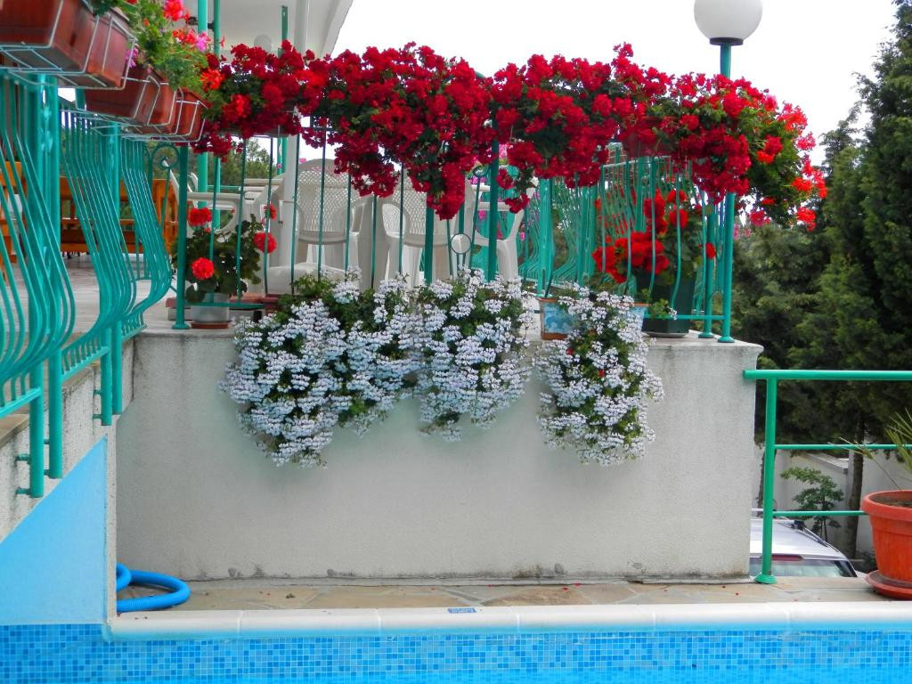 Zora Sunny Beach 3*