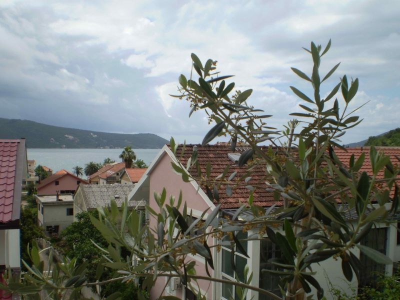 Amalija Apt Meljine 2*