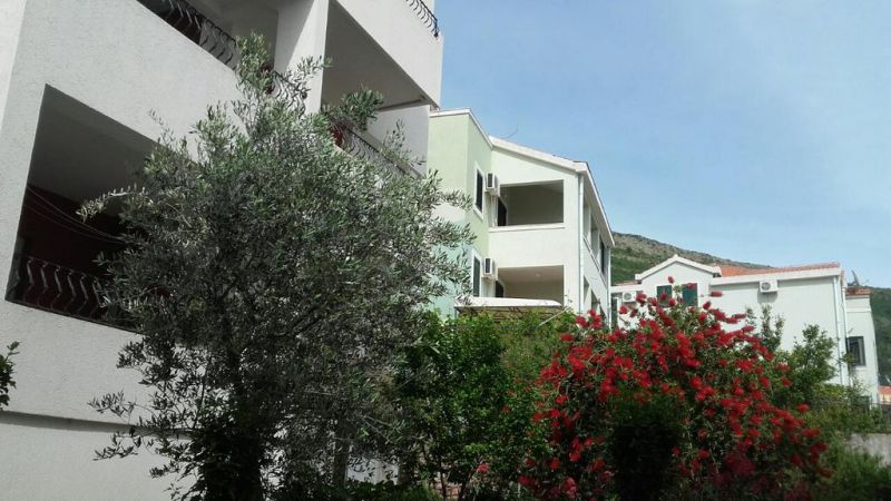 Apartment Ana 3*