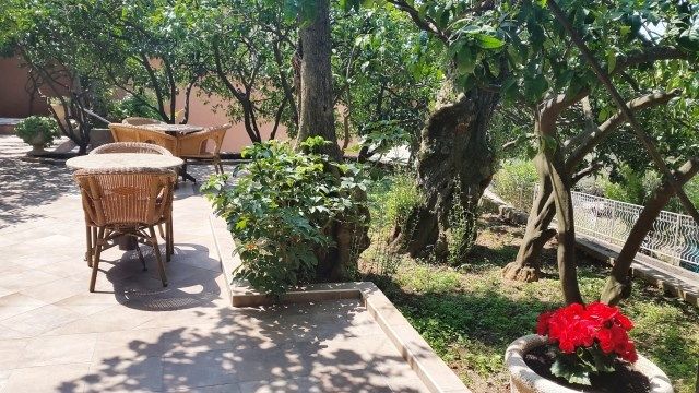 Villa Drboretta 3*