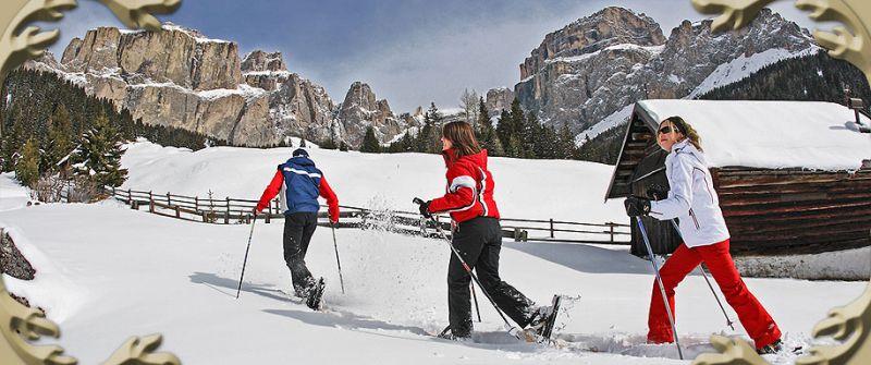 Ai Pini Vigo Di Fassa 3*