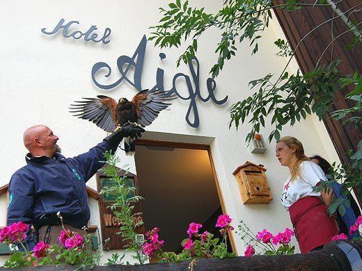 Aigle 2*
