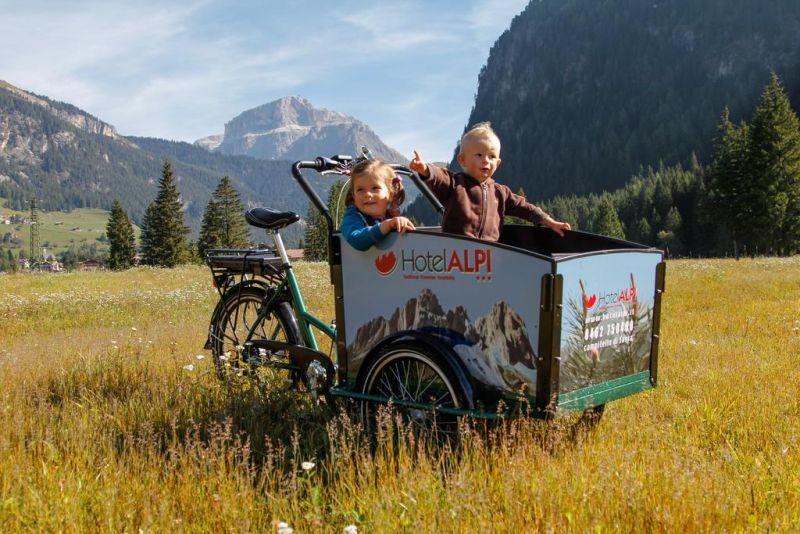 Alpi 3*