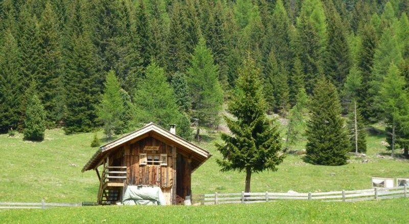 Bernard Pozza Di Fassa 2*