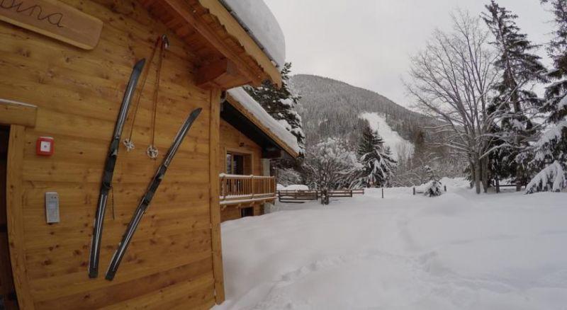 Chalet Alpina 3*