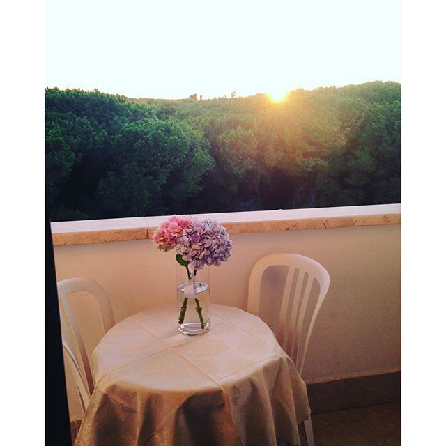 Le Palme Paestum 4*