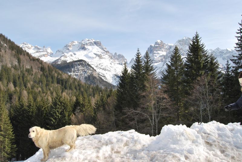 Milano Madonna Di Campiglio 3*