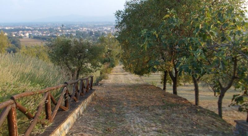 Relais Palazzo Di Luglio 4*