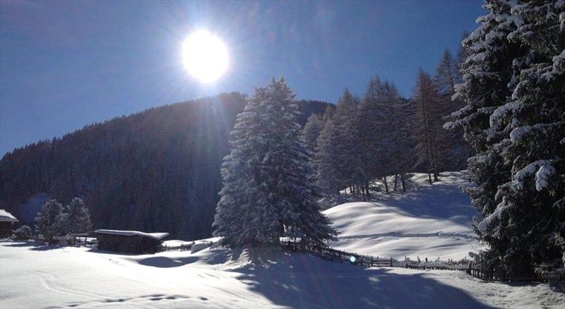 Residence La Selva 4*