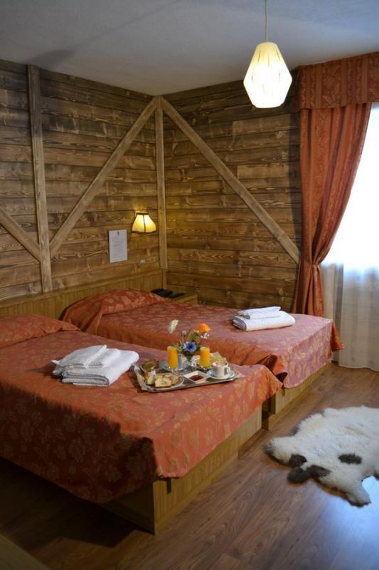 Rododendro 3*