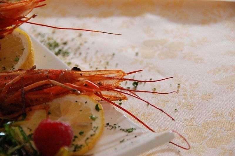 Sport Hotel Enrosadira Campitello 3*