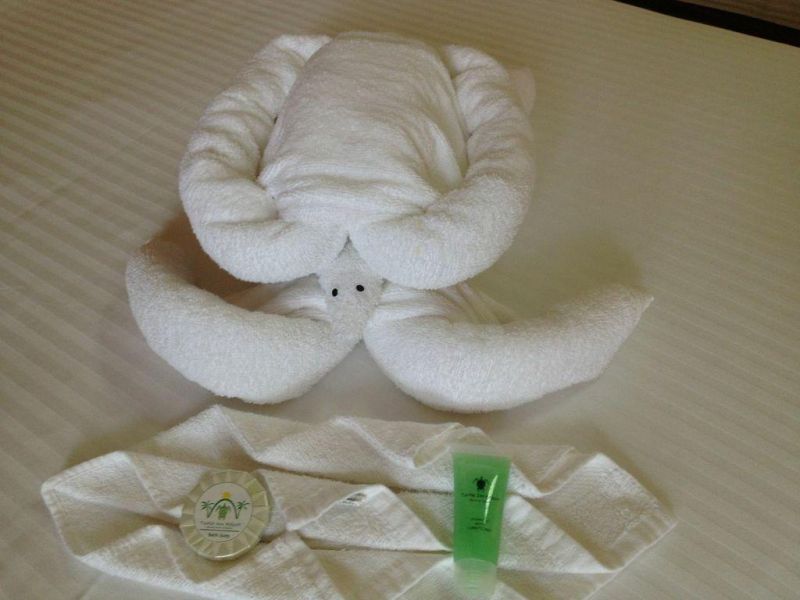 Turtle Inn Resort 2*