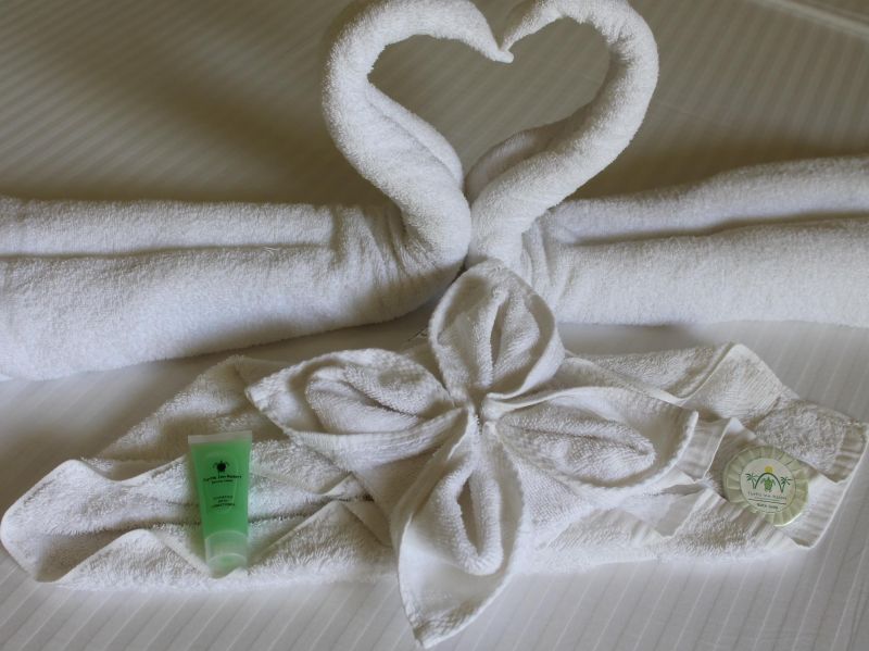 Turtle Inn Resort 2*