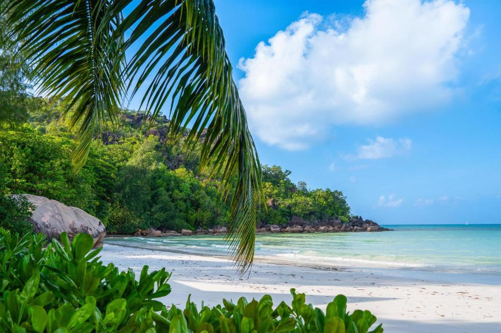 Paradise Sun 4*