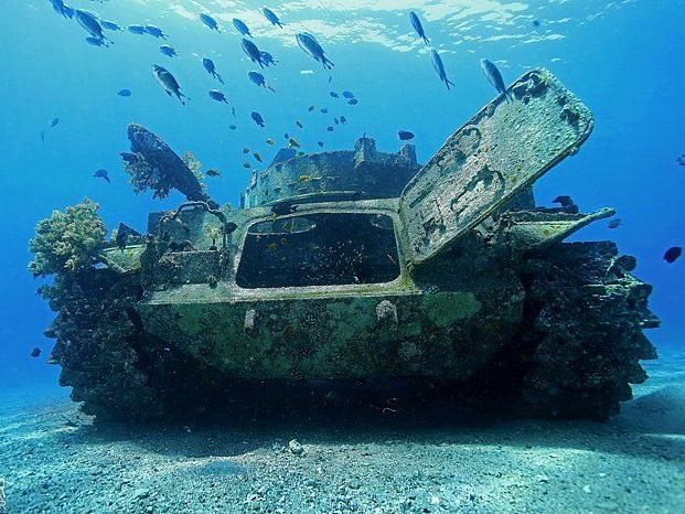 Aqaba Adventure Divers Resort 2*