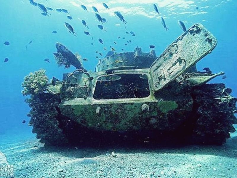 Aqaba Adventure Divers Resort 2*