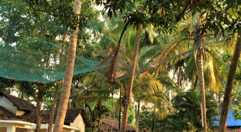3 Cottages 1*