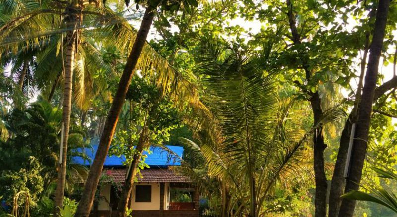 3 Cottages 1*
