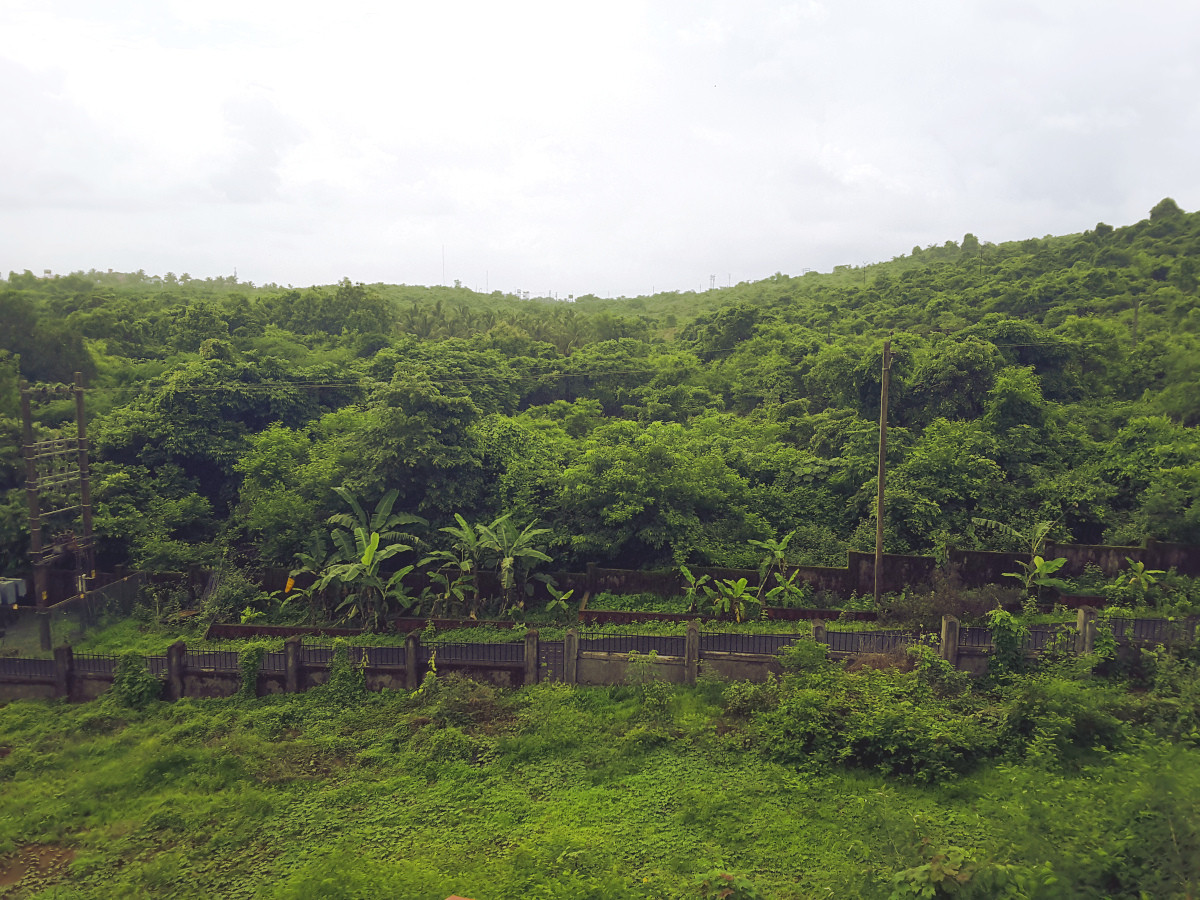 Ayurvedic Natural Health Centre 3*