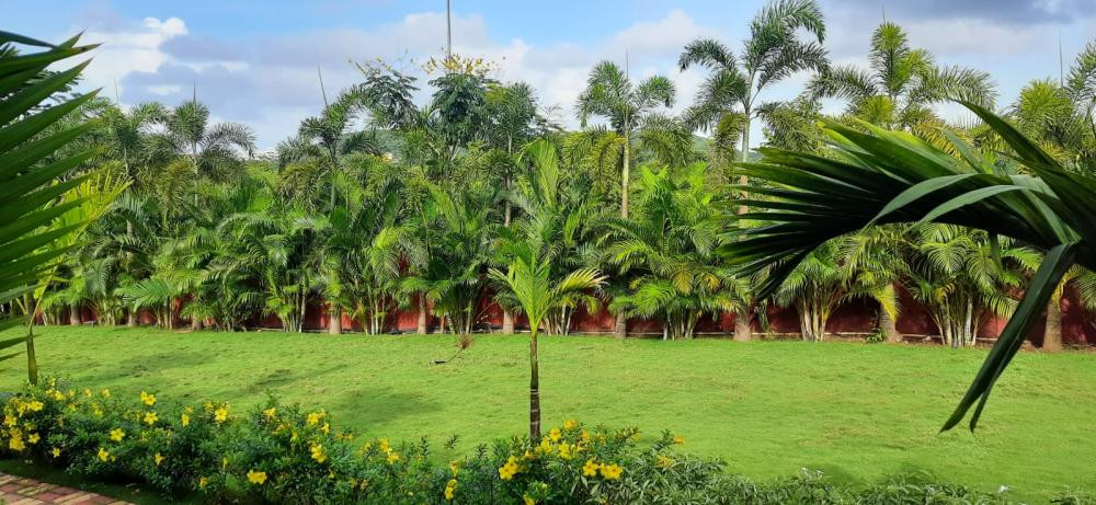 Grand Vatika Resort 3*