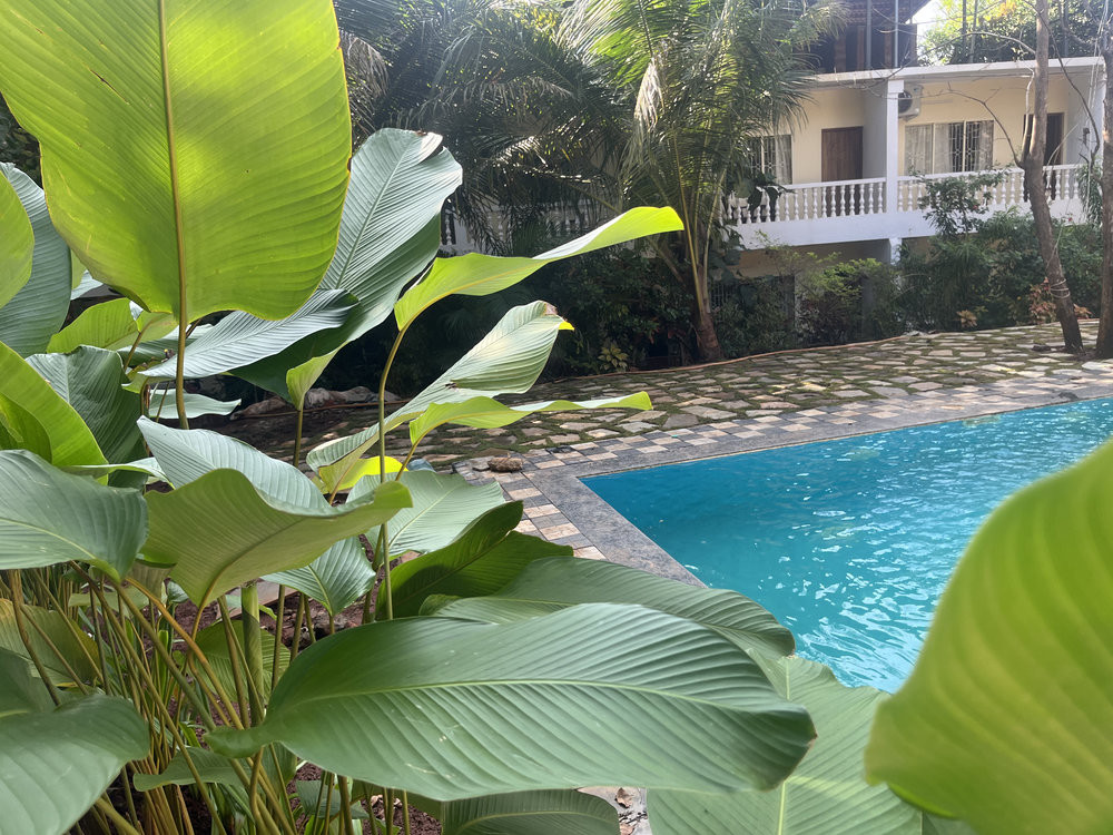 Miloza Holiday Homes Guest House 1*