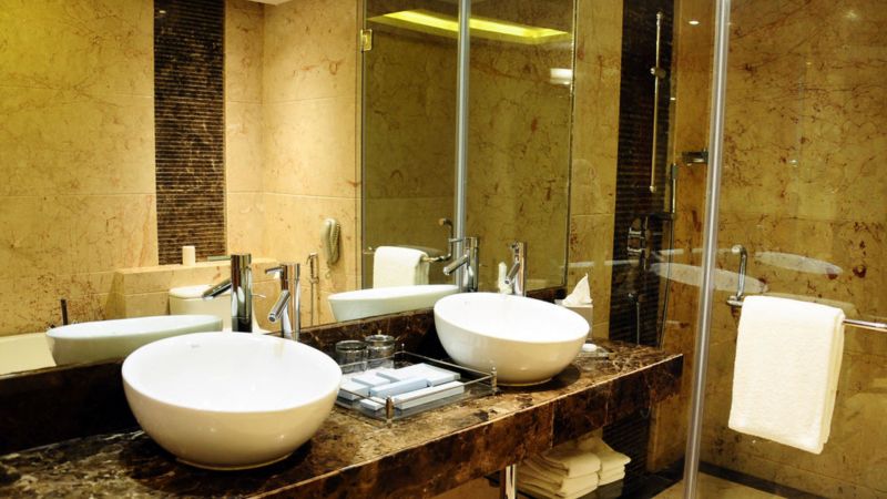 Radisson Blu Plaza Delhi 5*