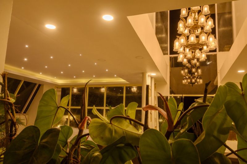 The Walk Inn 3*