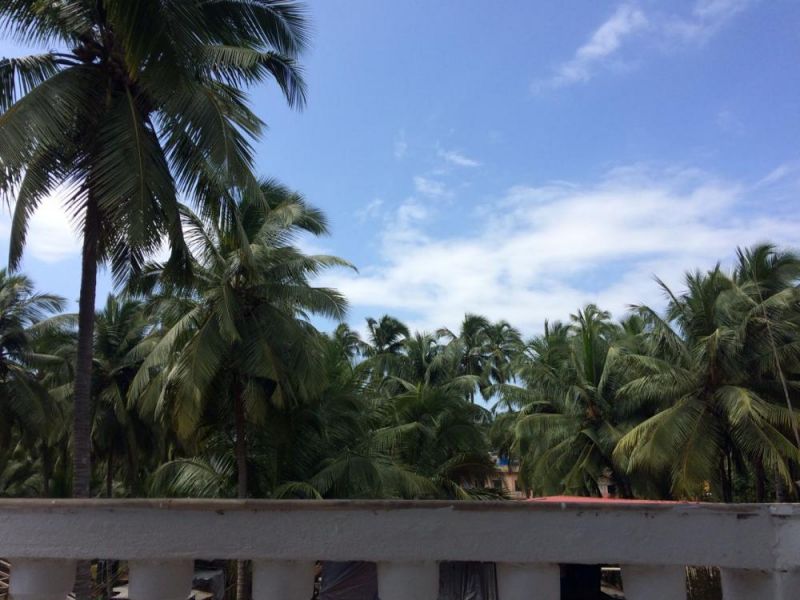 White House Beach Apartment 1*
