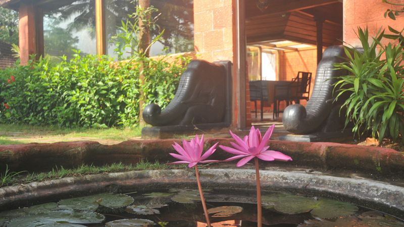 Zama Ayurveda Wellness Center 3*