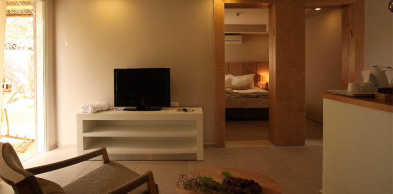 Ein Gedi Resort 4*