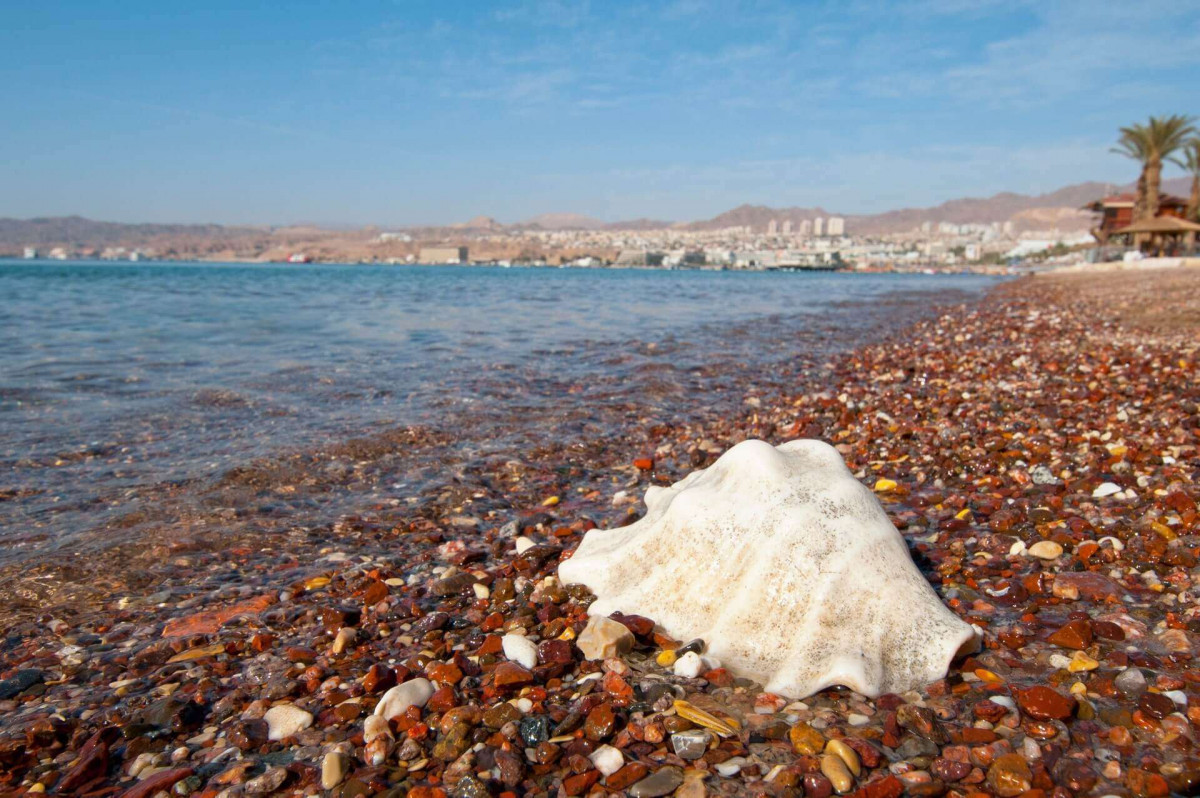 Leonardo Plaza Eilat 5*