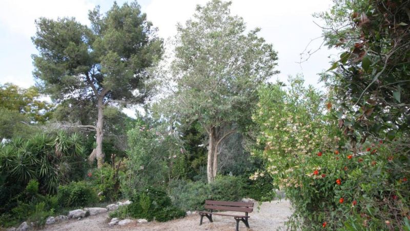 Neve Shalom Hotel 3*