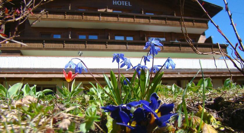 Bellevue Neustift 3*