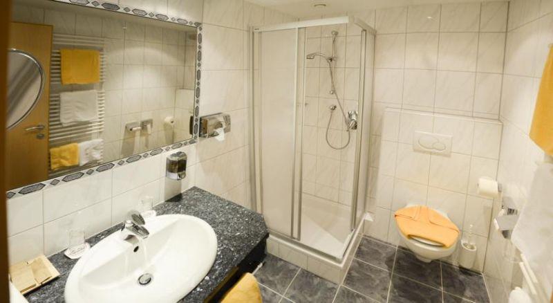 Garni Alpenhof 3*