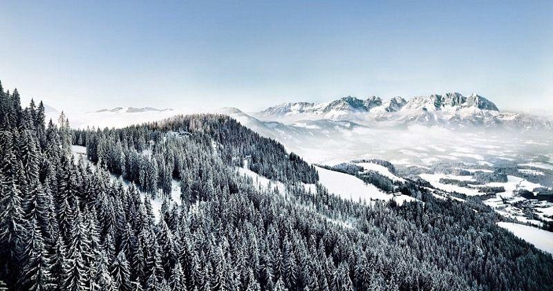 Goldener Greif 4*