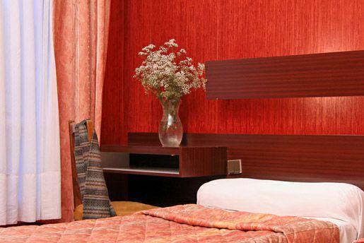Camelia International 2*