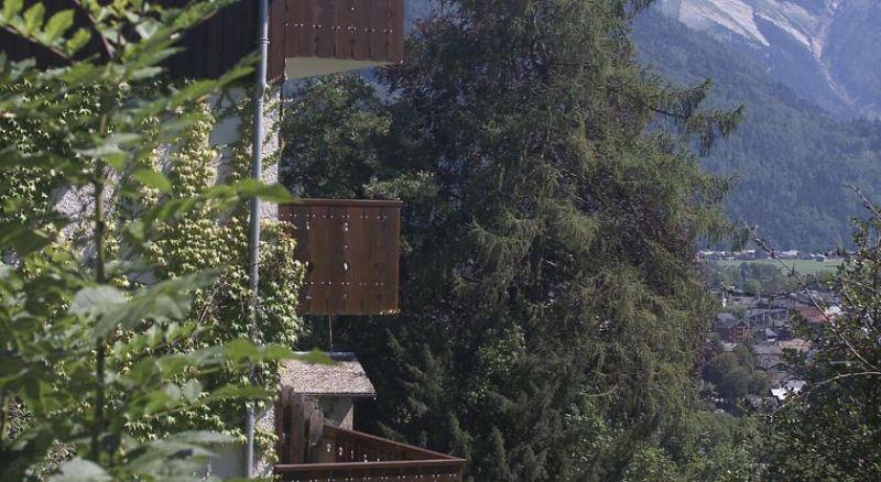 Edelweiss 3*