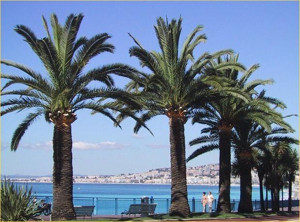 Best Western Plus Hotel Massena Nice 4*