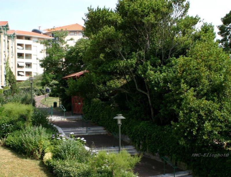 Residence Ocean 3*