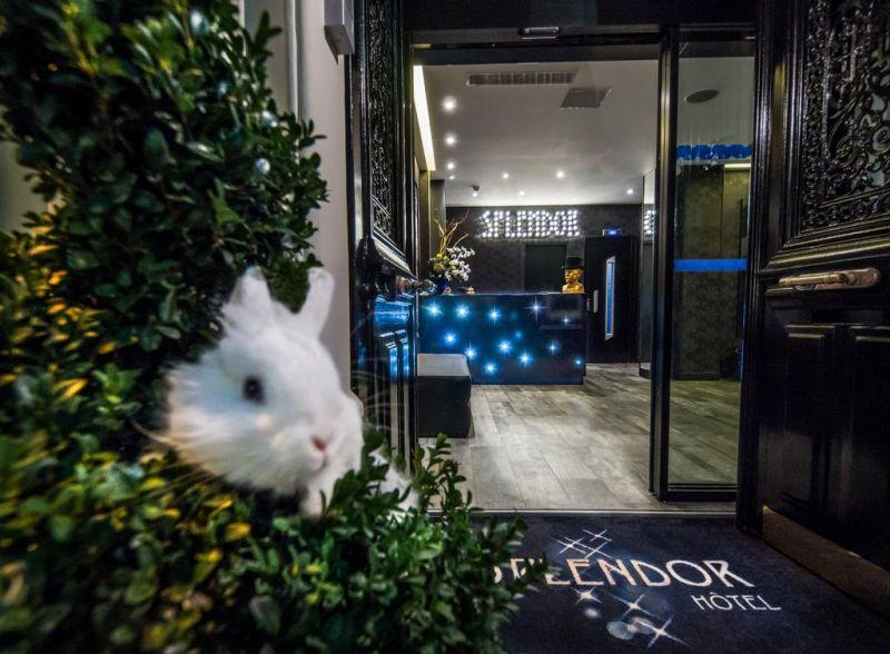 Splendor Elysees 3*
