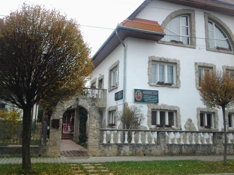 Amadeus Villa 2*