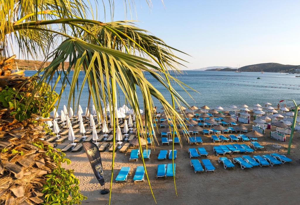Gumbet Anil Beach 3*