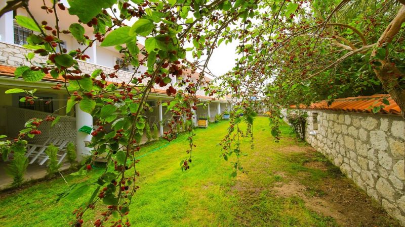 Alasonya Hotel 3*