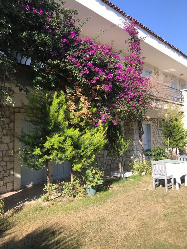 Alasonya Hotel 3*