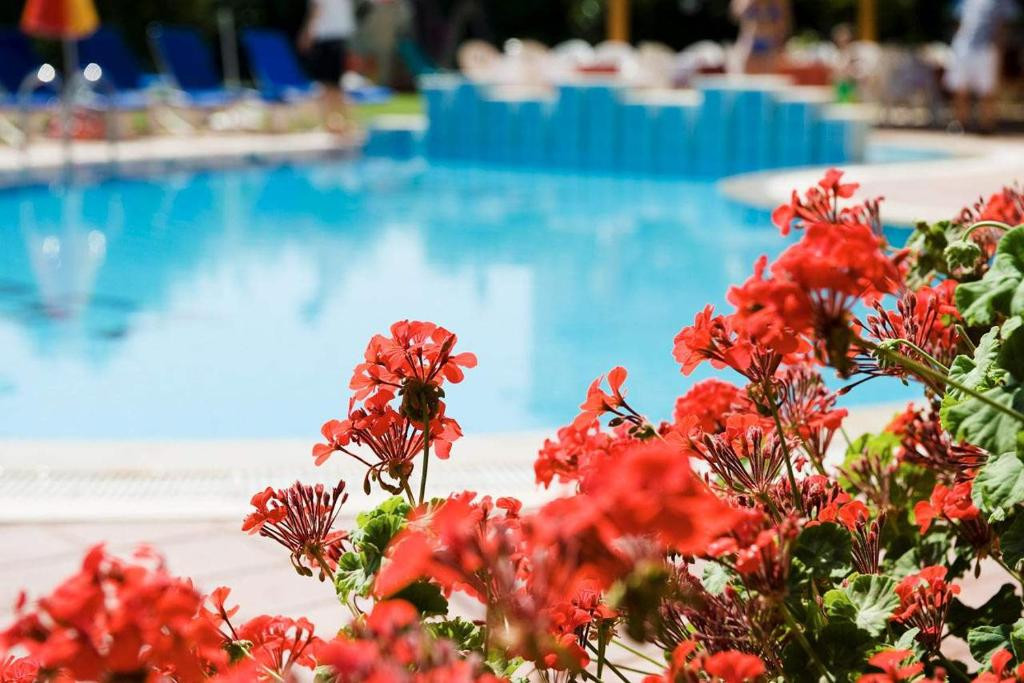 Begonville Apart 3*