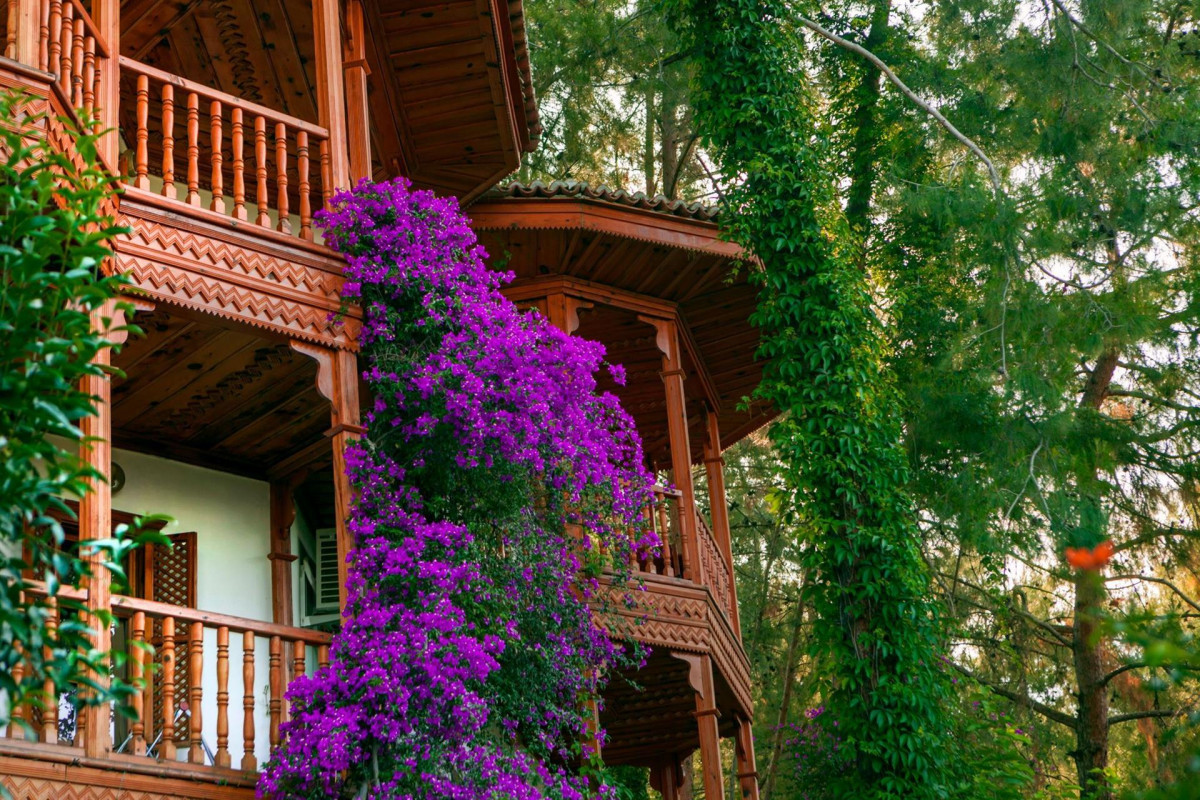 Club & Hotel Letoonia 5*