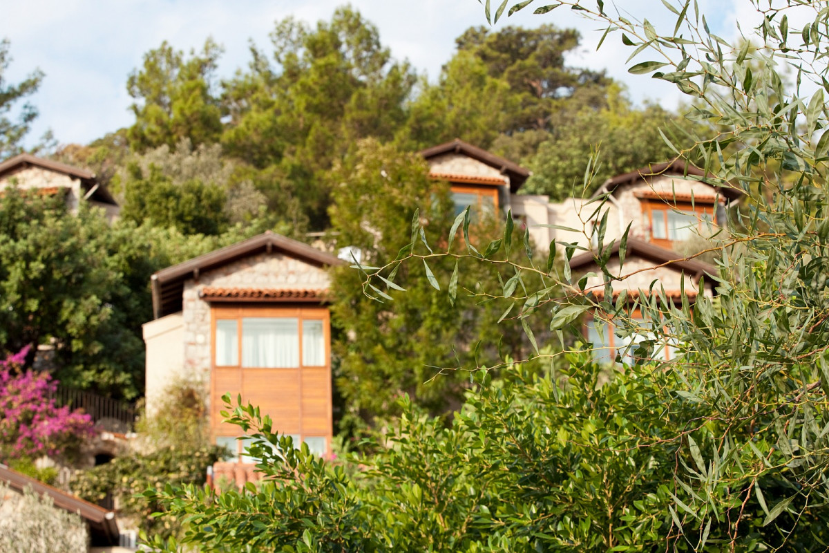 Dionysos Hotel 4*