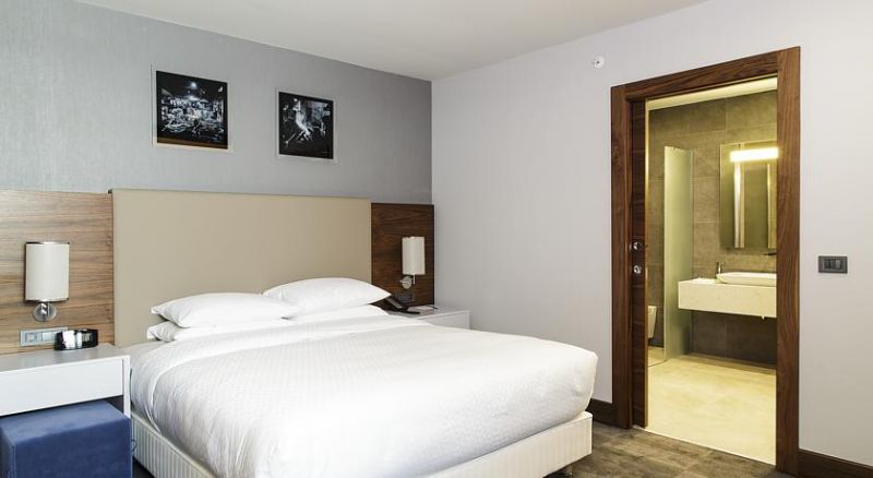 Ever Hotel Asia (Ex. Four Points By Sheraton Istanbul Dudullu) 4*