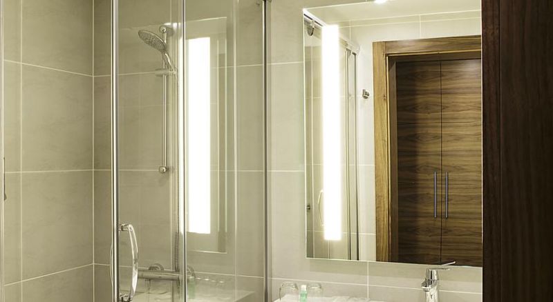 Ever Hotel Asia (Ex. Four Points By Sheraton Istanbul Dudullu) 4*